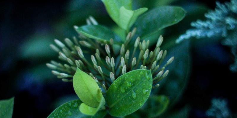 JONHTV100:当影视娱乐遇见禅意设计,重新定义观剧体验