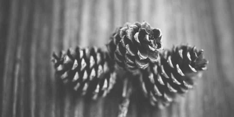 JONHTV7：探索剧集与纪录片的深度交融，开启沉浸式视听新体验