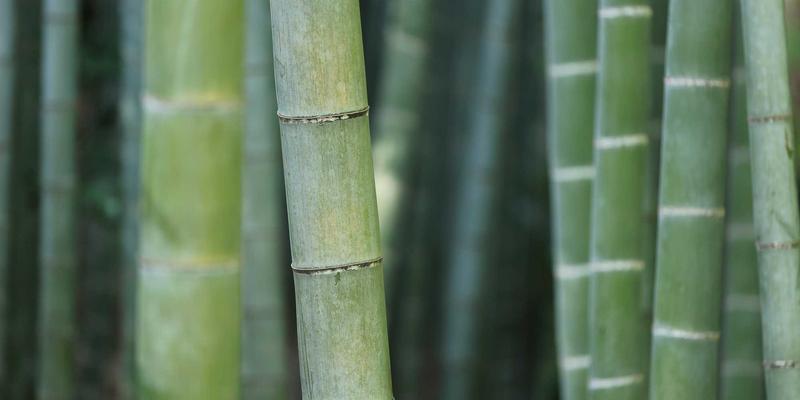 JONHTV88：当禅意设计邂逅影视娱乐，重新定义视频平台体验