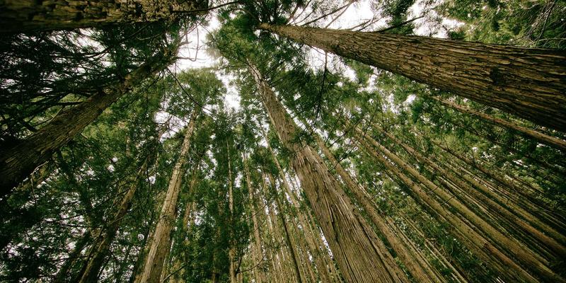 JONHTV电视图像模式专业校准指南：让剧集、流媒体和视频平台画质飞跃