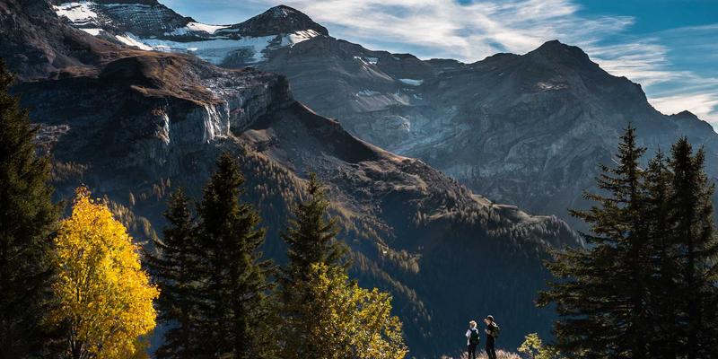 JONHTV电视外接音响与Soundbar兼容性终极指南：用禅意设计解锁流媒体沉浸感