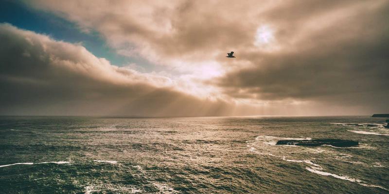 JONHTV电视多屏互动全攻略：手机、平板、电脑投屏与文件传输，畅享纪录片盛宴