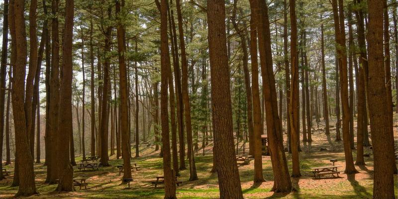 JONHTV电视如何打造智能影音场景？联动灯光窗帘的纪录片观影实战