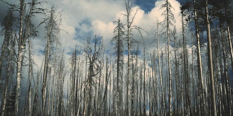 JONHTV电视安装第三方应用全攻略：解锁海量在线电影与流媒体纪录片资源