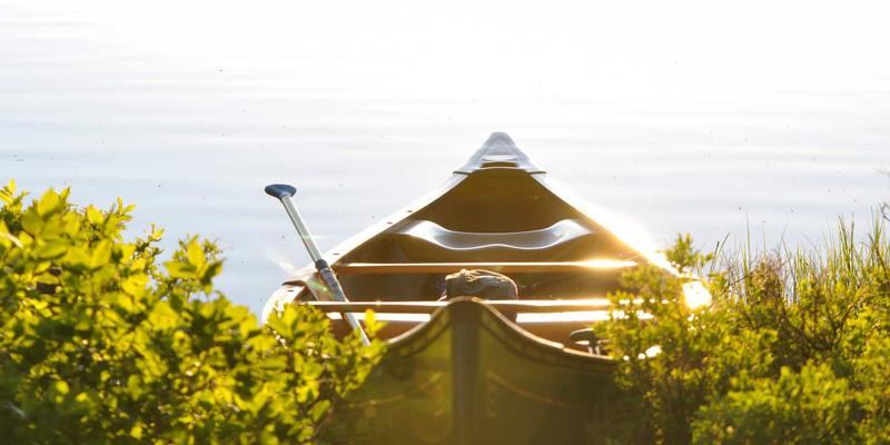 JONHTV电视画质引擎技术详解：如何为流媒体剧集优化影视娱乐体验