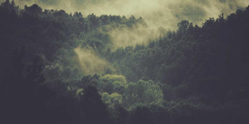 JONHTV电视画质调校指南：明亮客厅与暗光影音室的流媒体观影参数设置