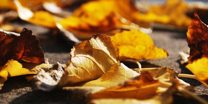 JONHTV电视的禅意设计：如何通过儿童模式与家长控制，打造安全的家庭流媒体体验