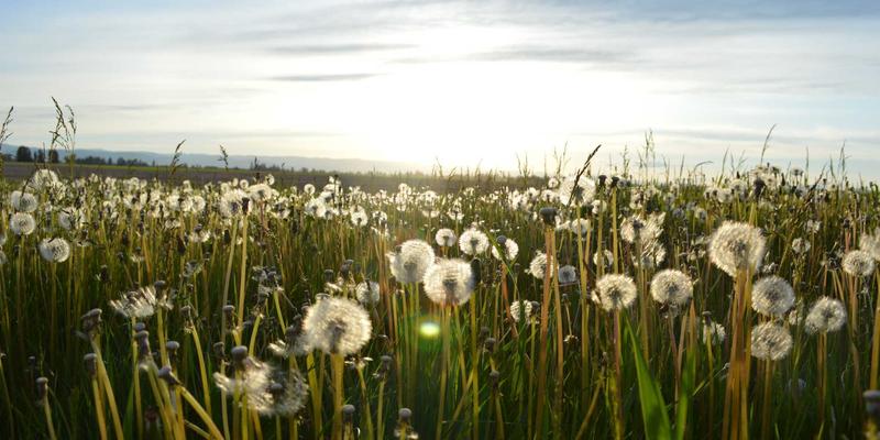 JONHTV电视节能模式与功耗实测：长期追剧的电费成本究竟多高？