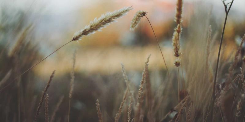 禅意设计如何赋能纪录片观看？JONHTV电视对Netflix、Disney+等主流视频平台的深度兼容性测试